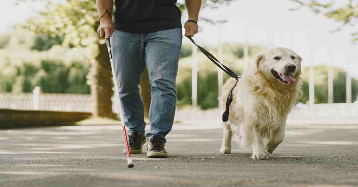 World White Cane Day