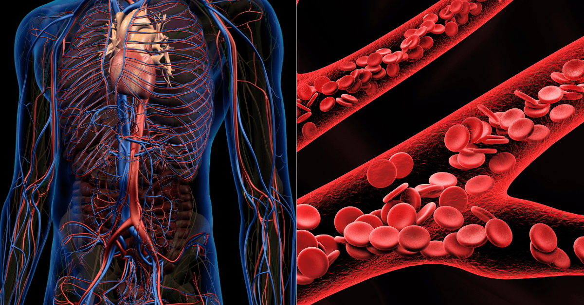 5 Natural Ways to Boost Haemoglobin Fast (Eat These Foods Now!) 1 Natural Ways to Boost Haemoglobin Fast