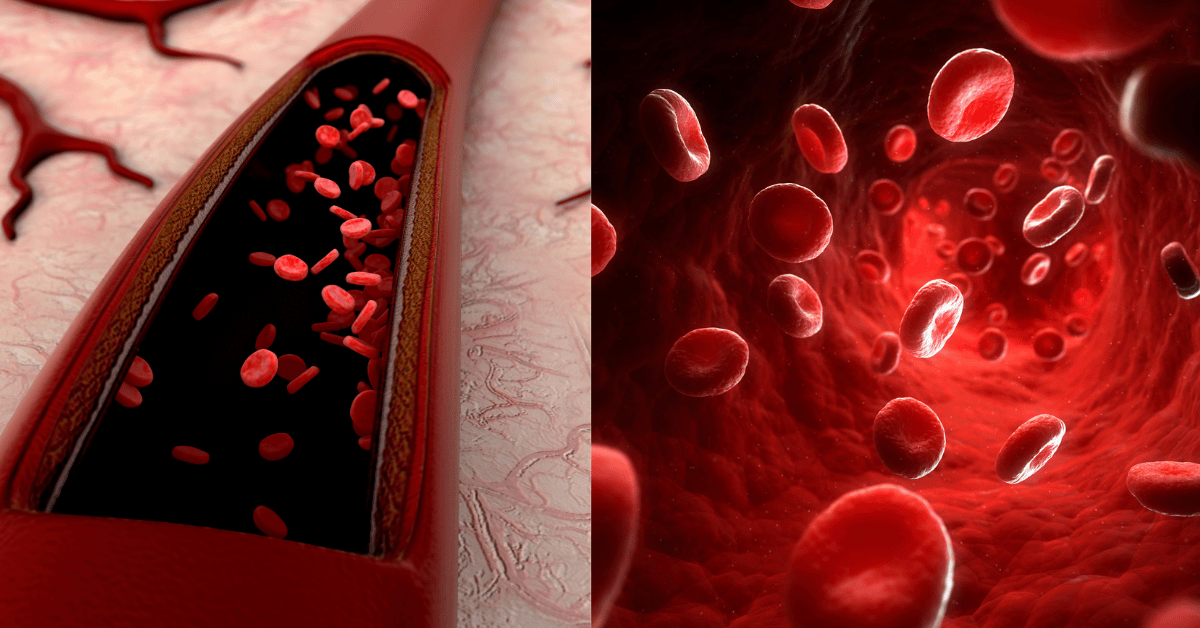 5 Natural Ways to Boost Haemoglobin Fast (Eat These Foods Now!) 2 Natural Ways to Boost Haemoglobin Fast