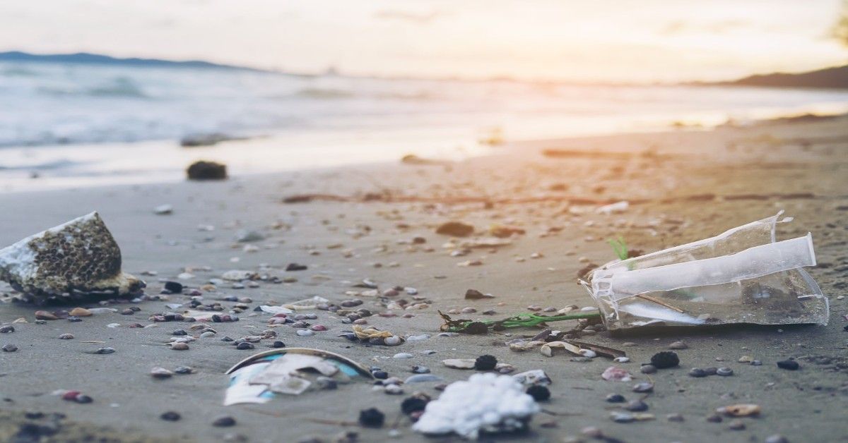 Plastic Kills: India’s Silent Waste Crisis Exposed in 2025 1 Plastic Kills India’s Silent Crisis