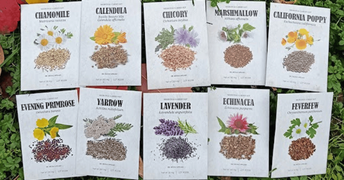 Amazing Benefits of a Certified Medicinal Garden Kit—Your Lifelong Backyard Pharmacy 2 Certified Medicinal Garden Kit