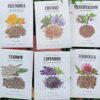 Medicinal Garden Kit