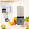 Mini Blender for Smoothies & Juices