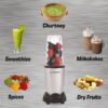 NutriPro 500W Juicer Mixer Grinder
