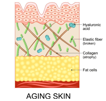 Most collagen supplements on the market